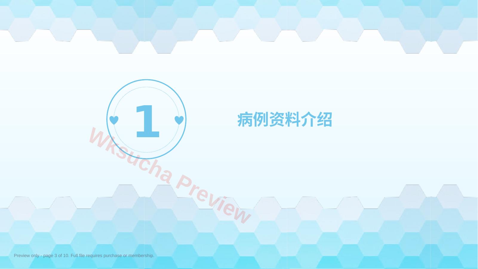 预览第 3 页