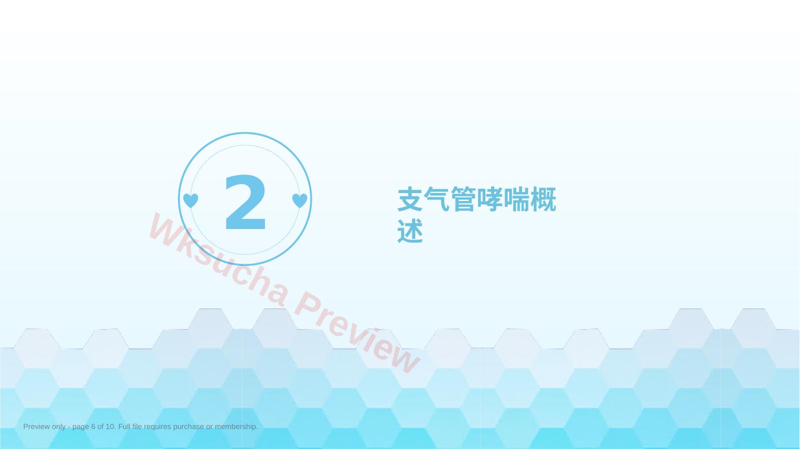 预览第 6 页