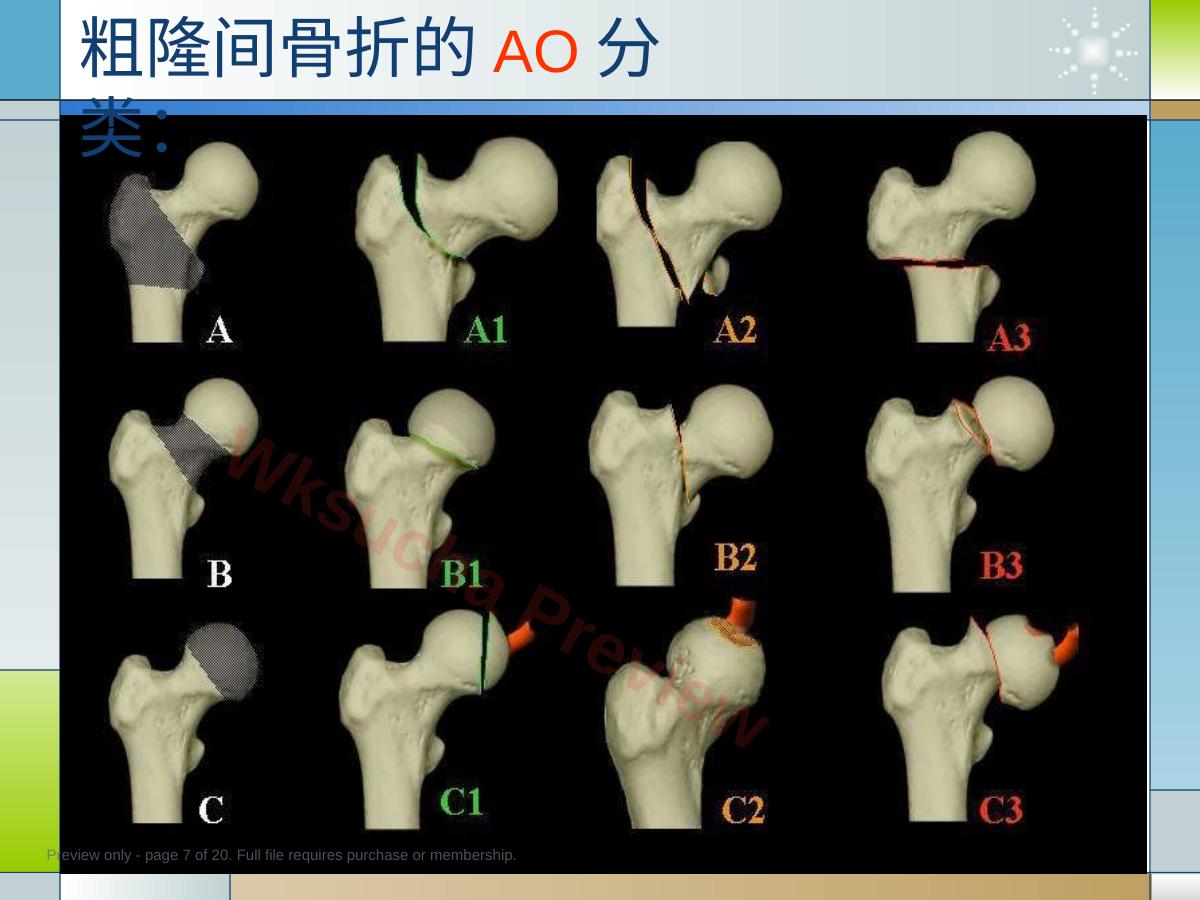 预览第 7 页