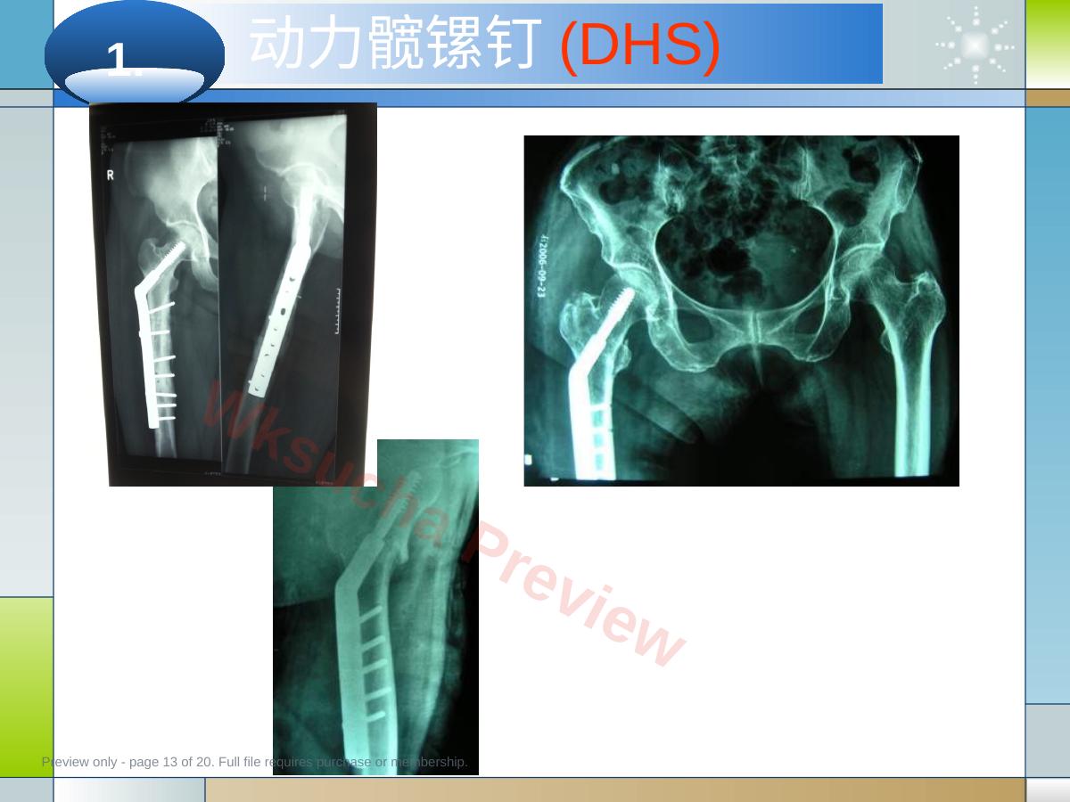 预览第 13 页