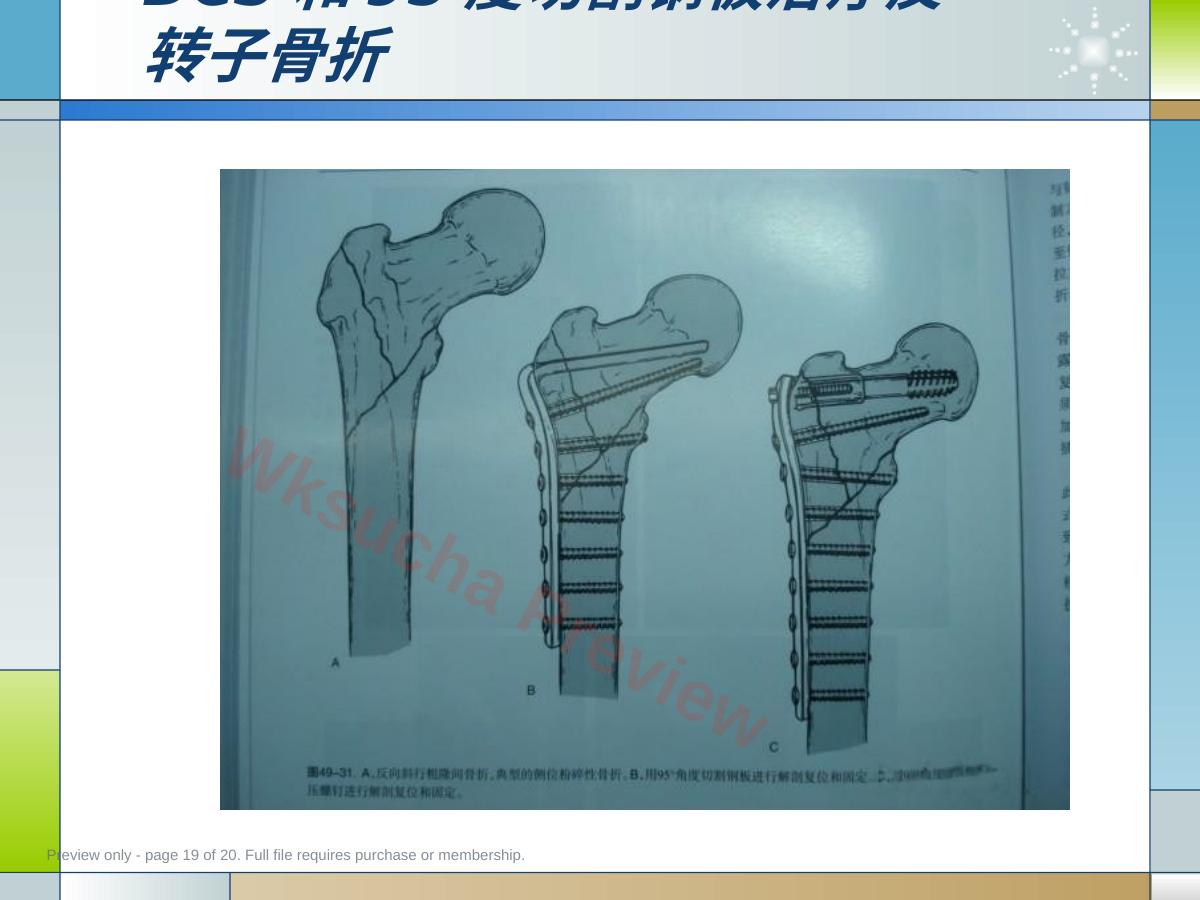 预览第 19 页