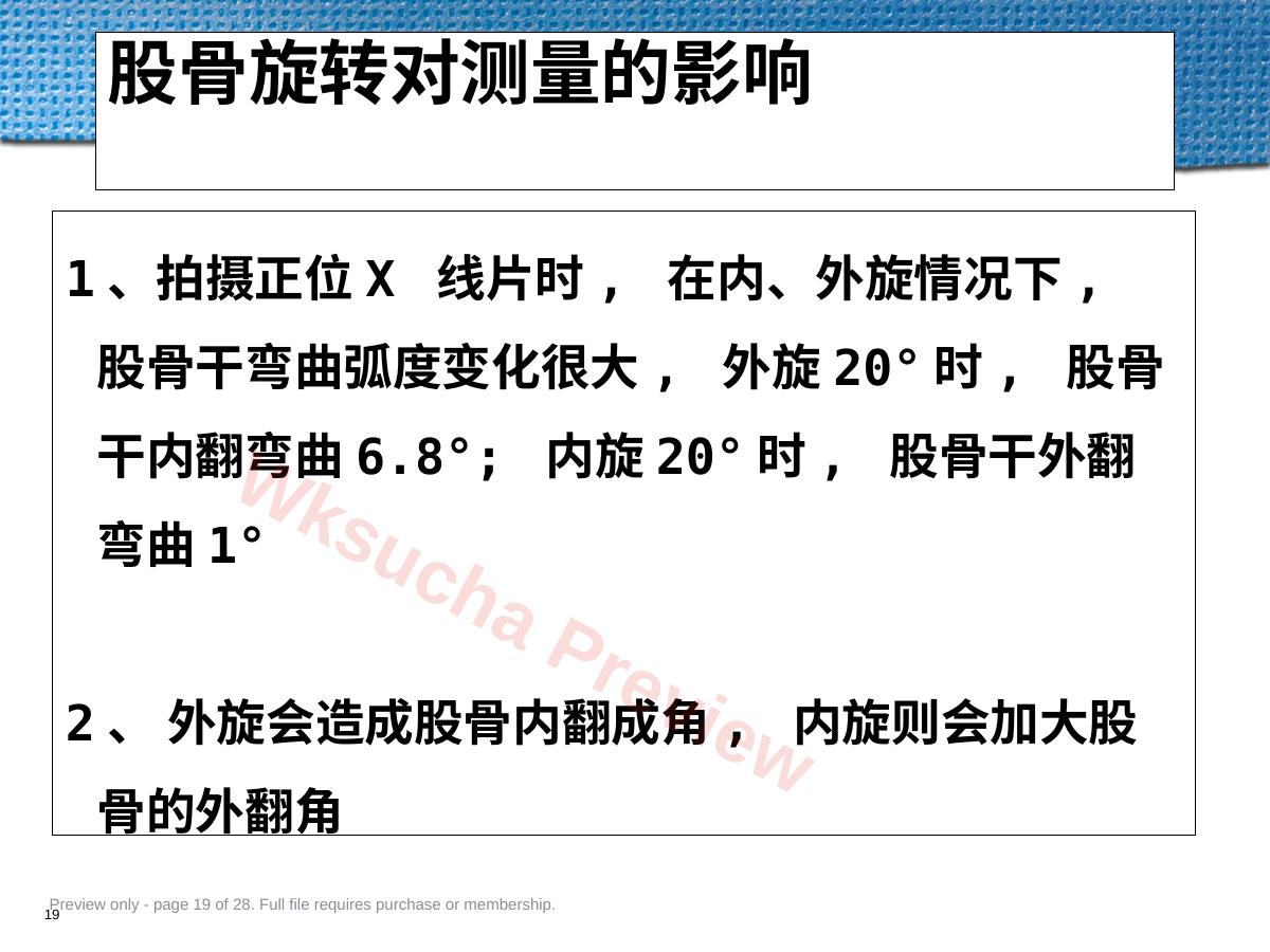 预览第 19 页