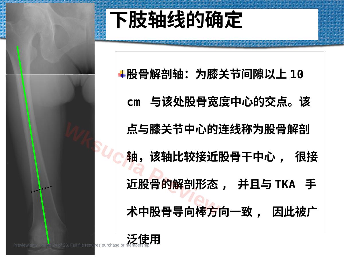 预览第 24 页