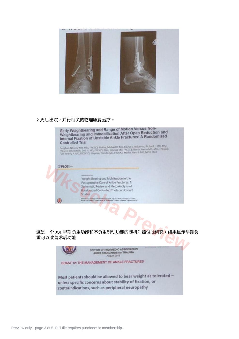 预览第 3 页