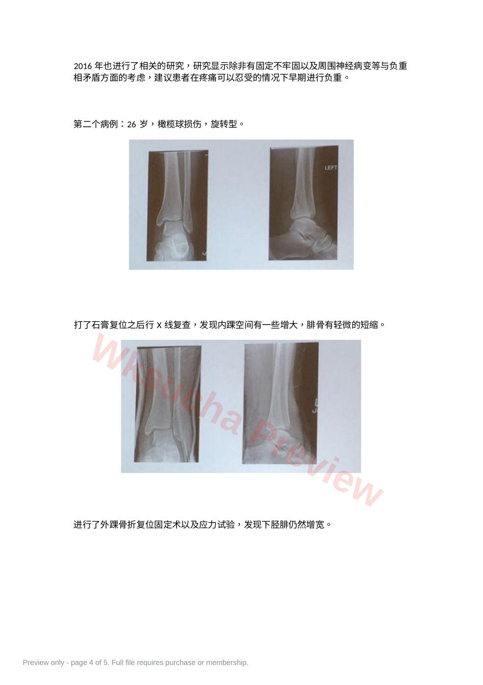 预览第 4 页