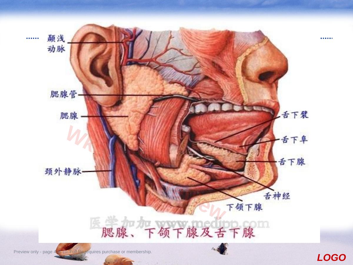预览第 4 页