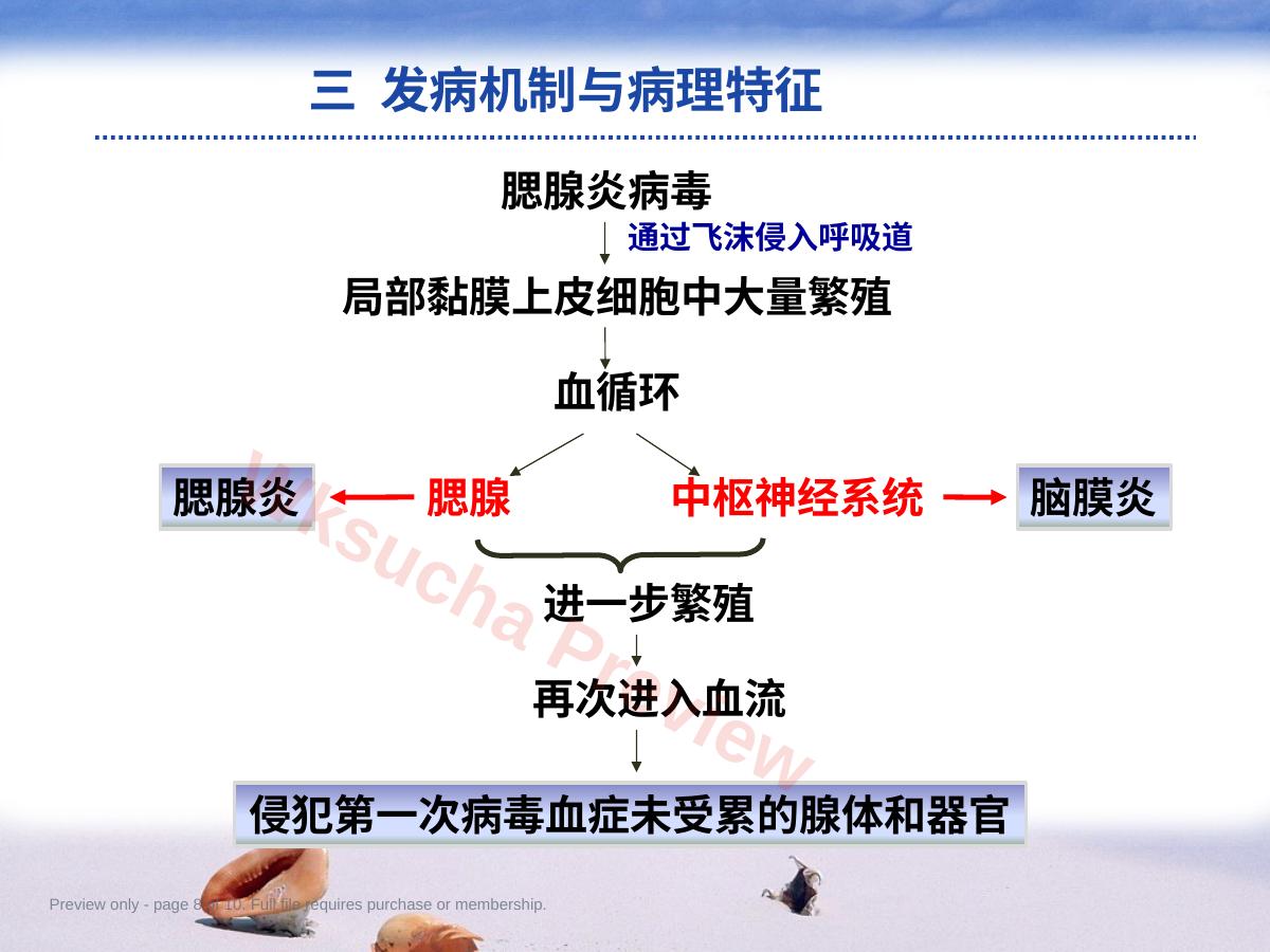 预览第 8 页