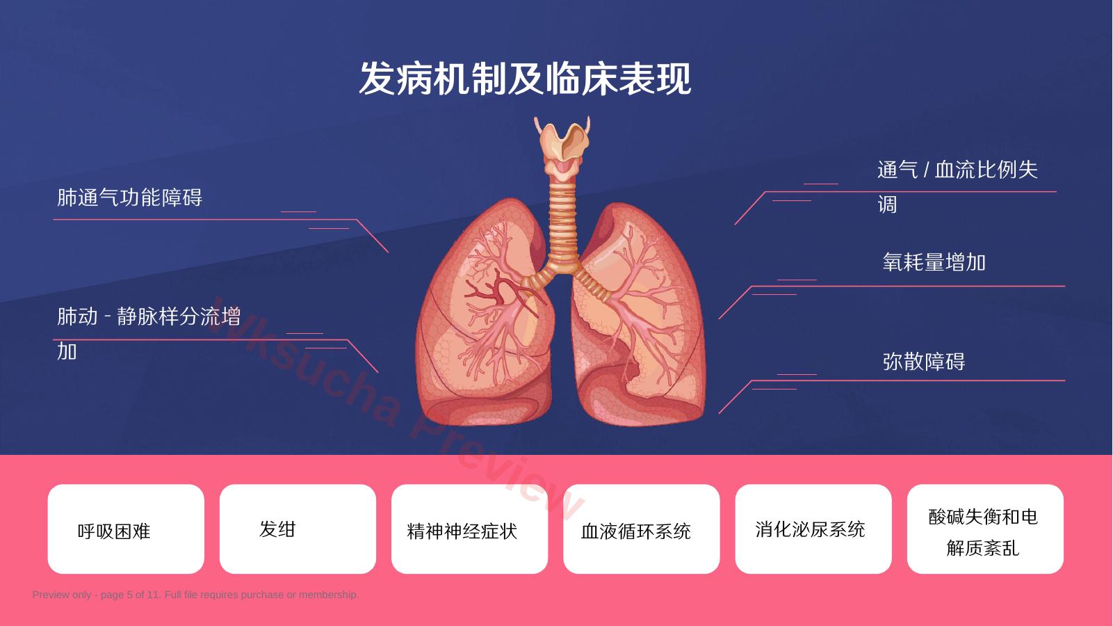 预览第 5 页