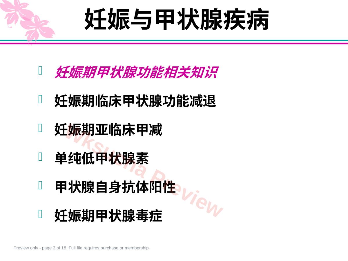 预览第 3 页
