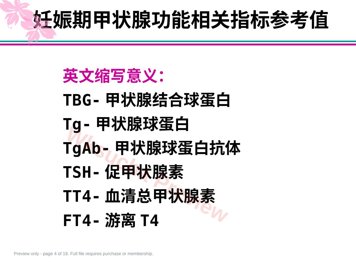 预览第 4 页