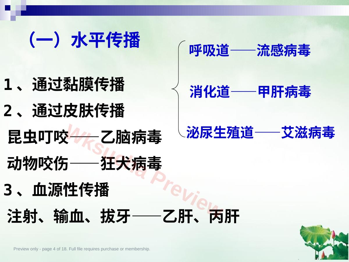 预览第 4 页