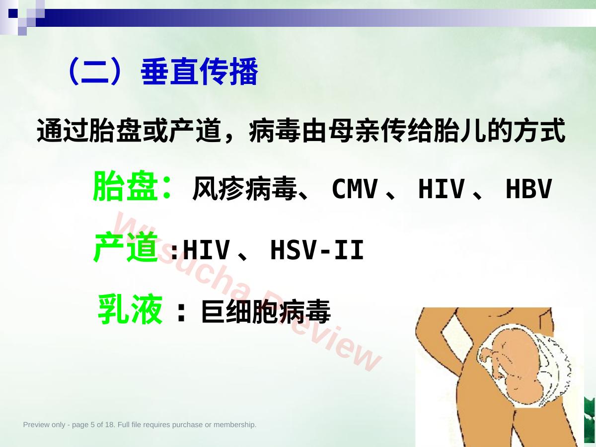 预览第 5 页