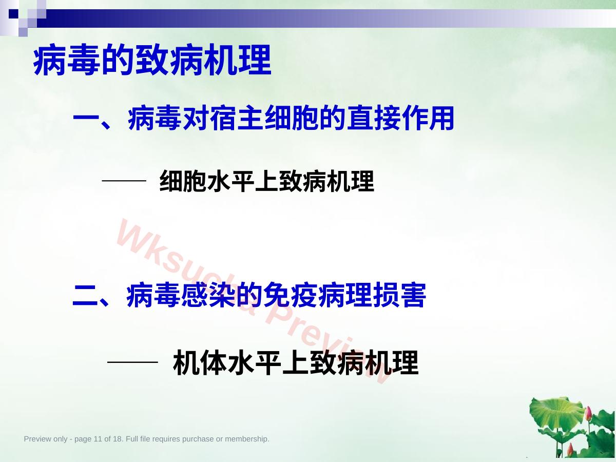 预览第 11 页