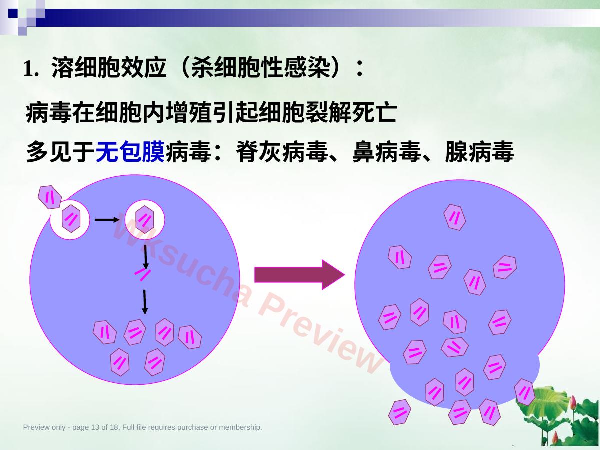 预览第 13 页