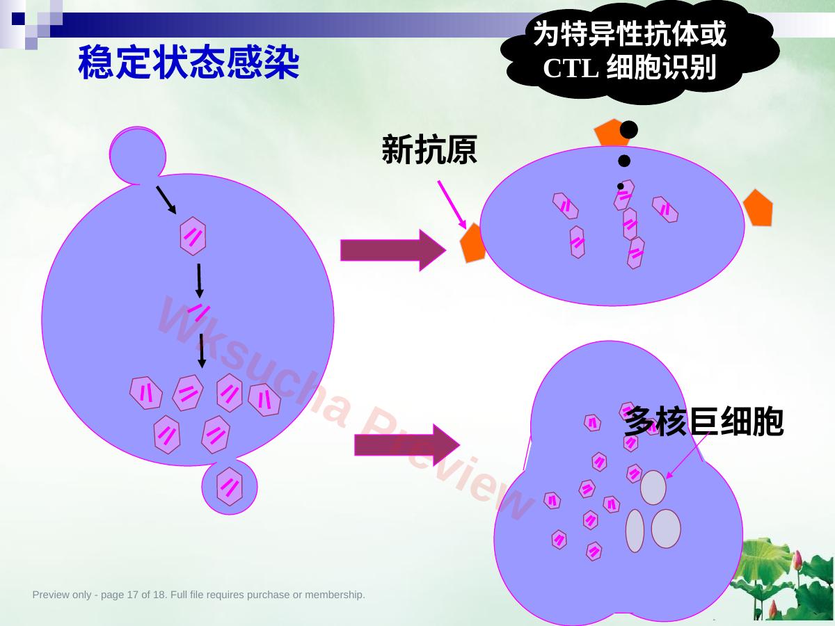 预览第 17 页
