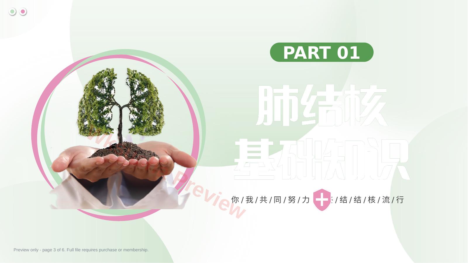 预览第 3 页