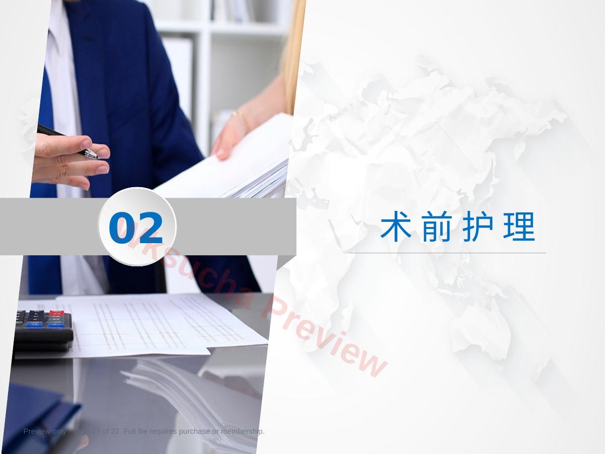 预览第 17 页