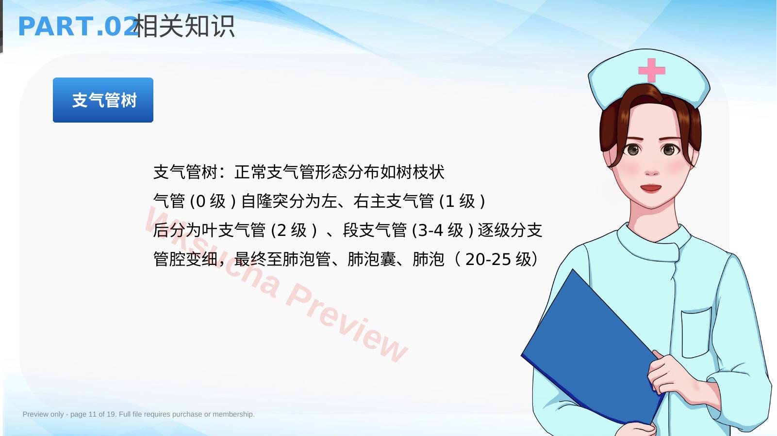 预览第 11 页