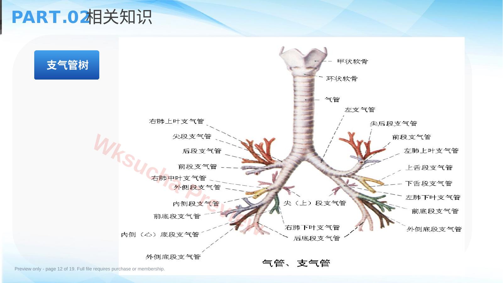 预览第 12 页