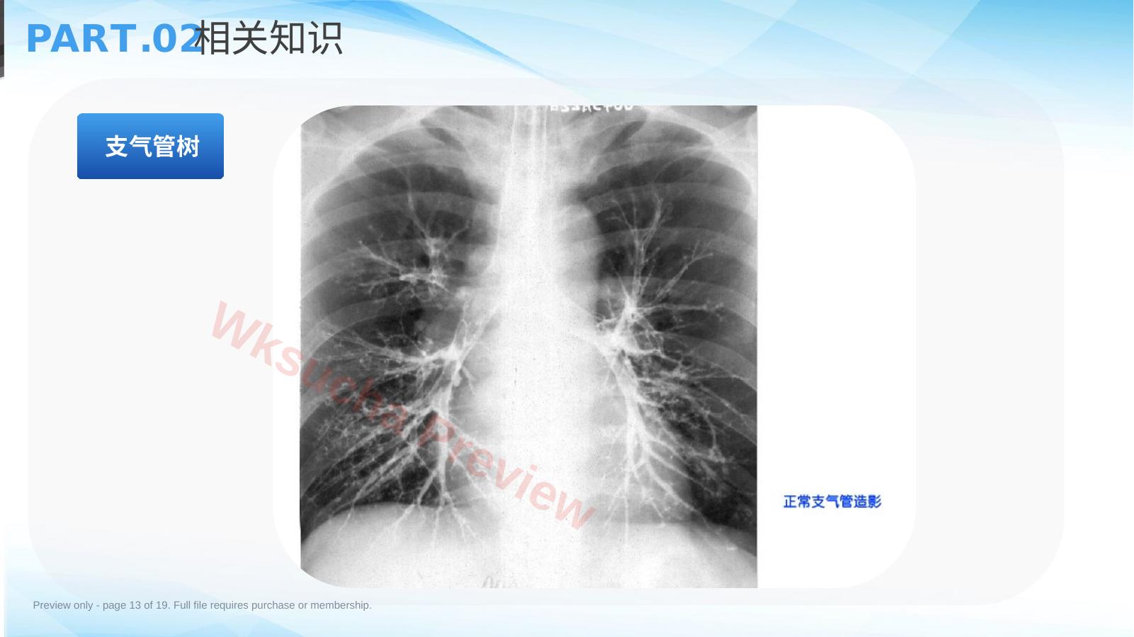 预览第 13 页
