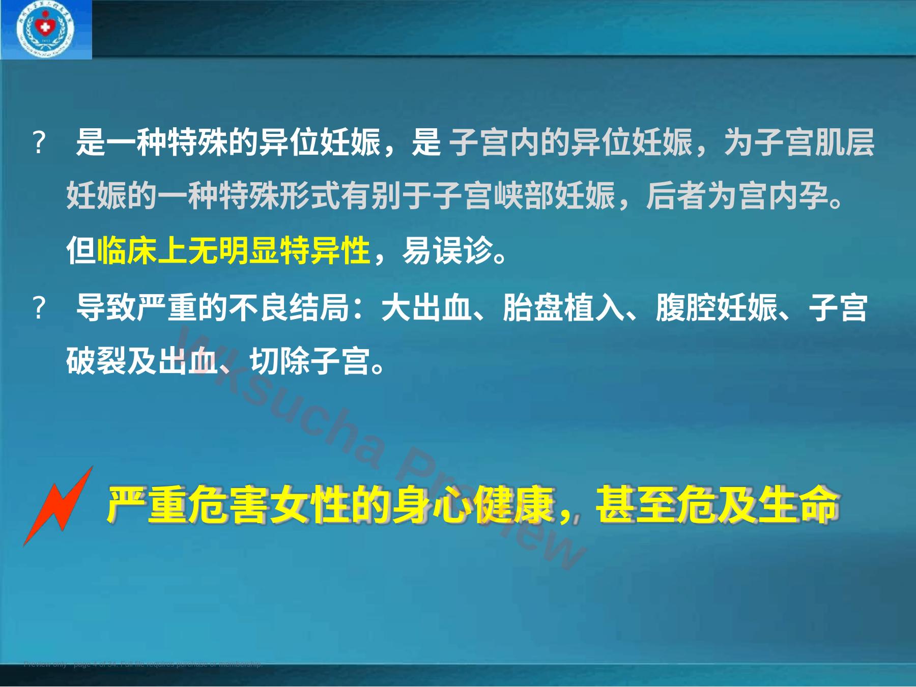 预览第 4 页