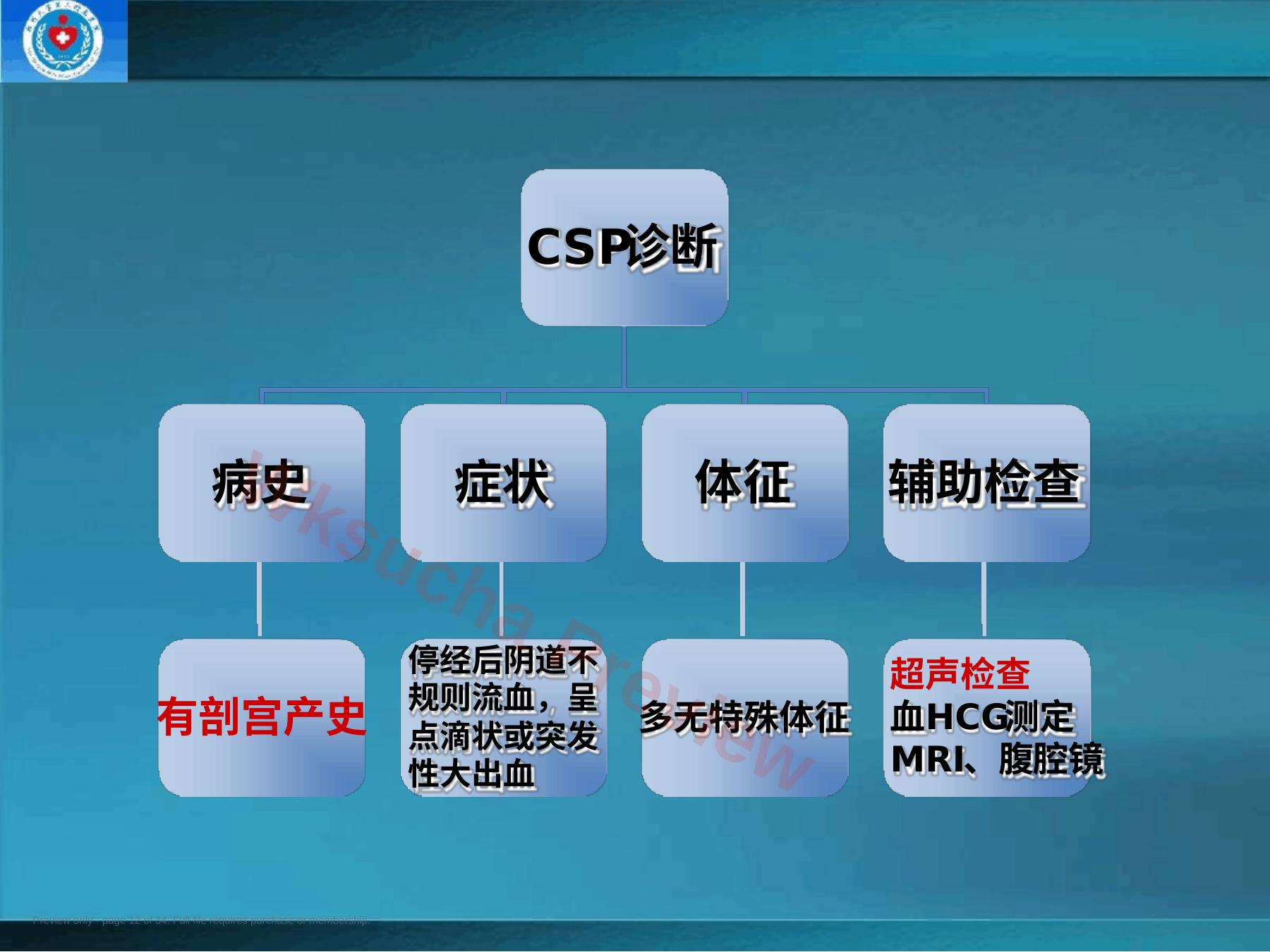 预览第 12 页