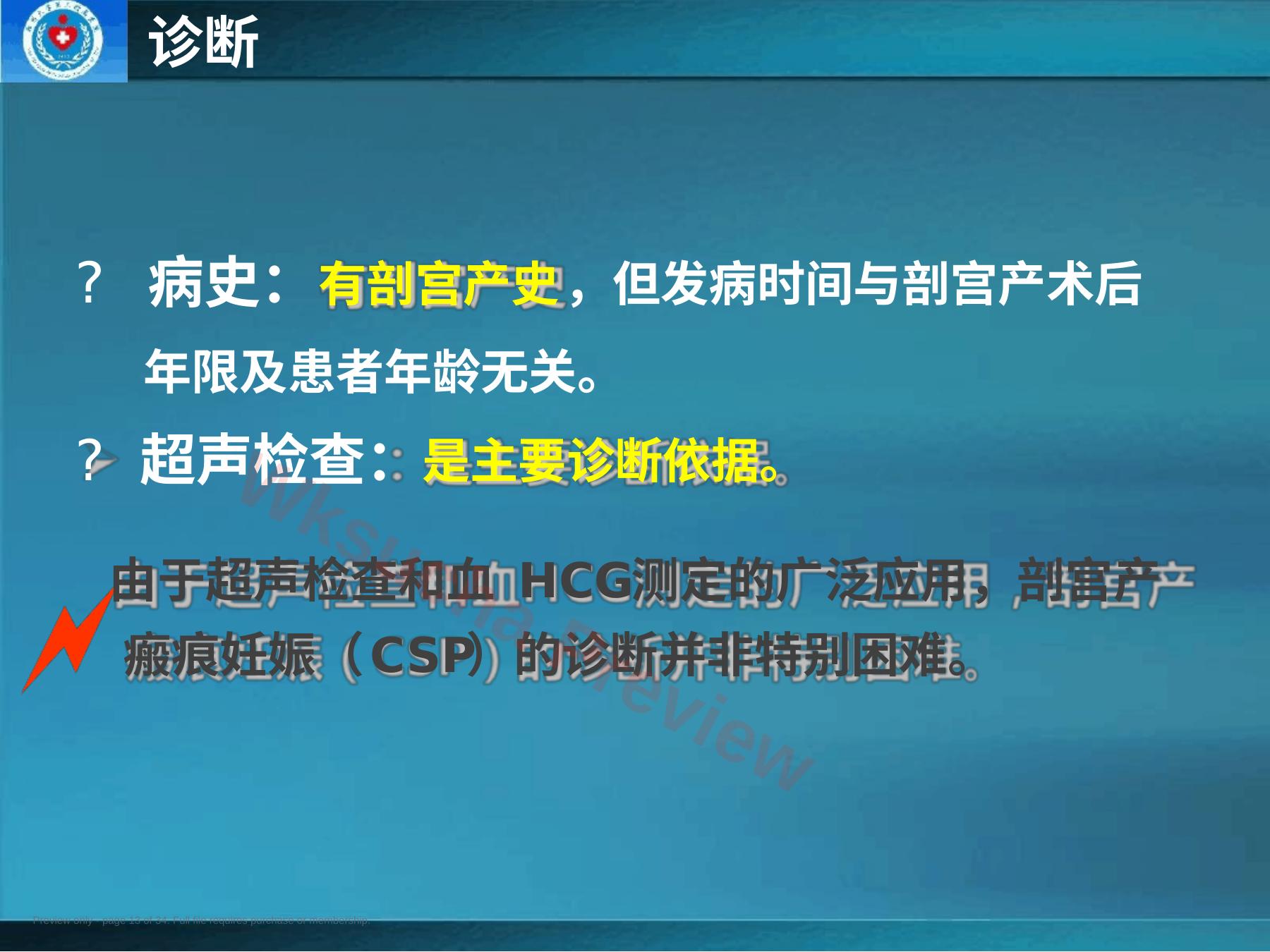 预览第 13 页