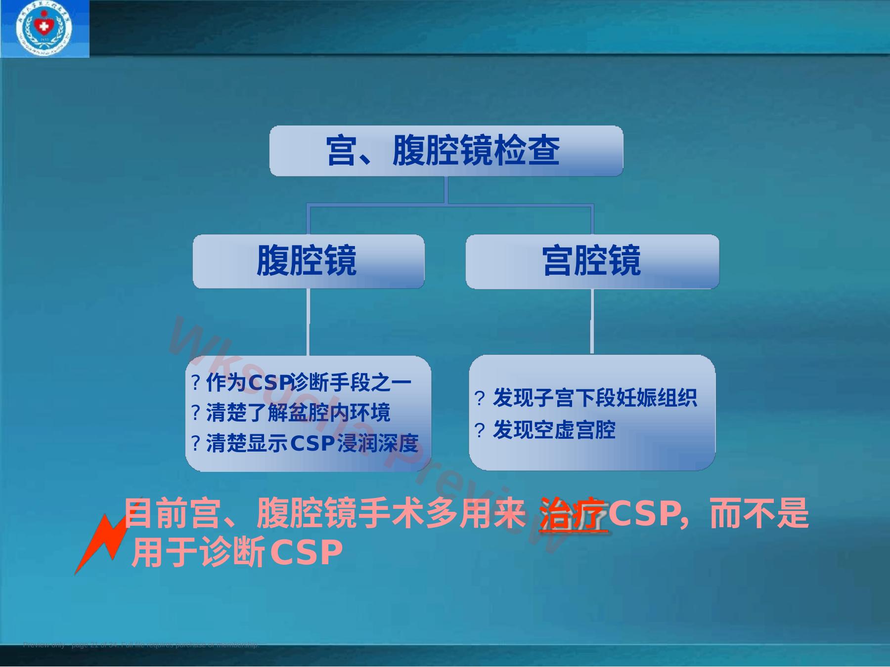 预览第 21 页