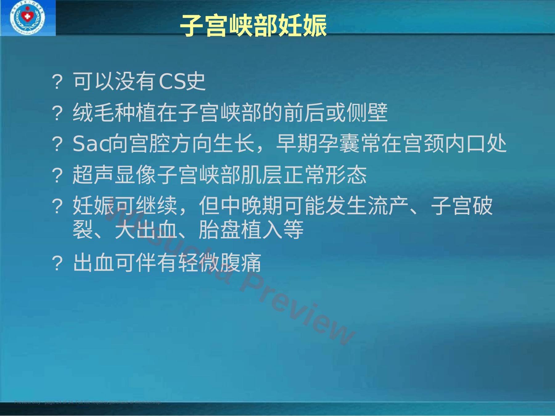 预览第 24 页