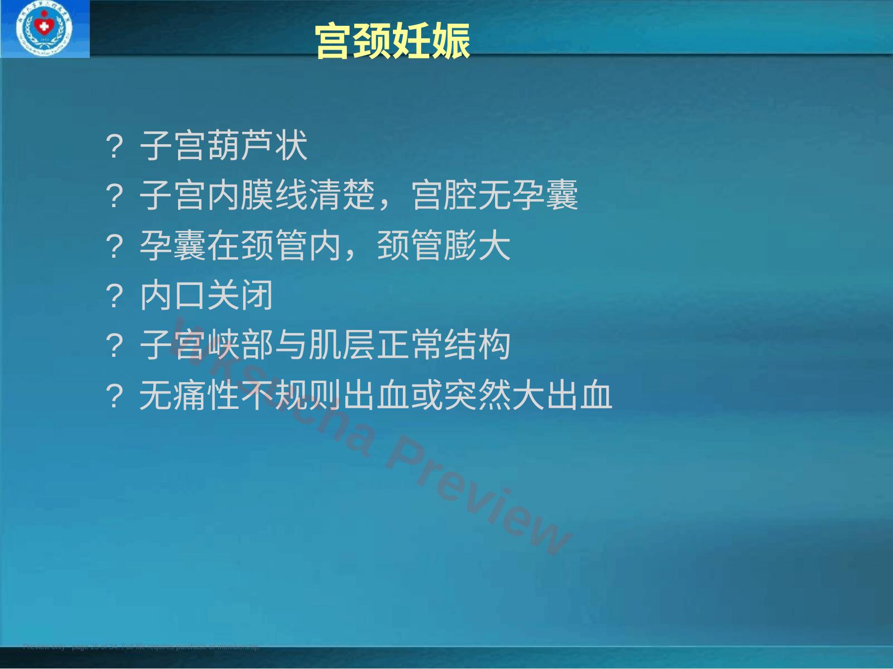 预览第 25 页