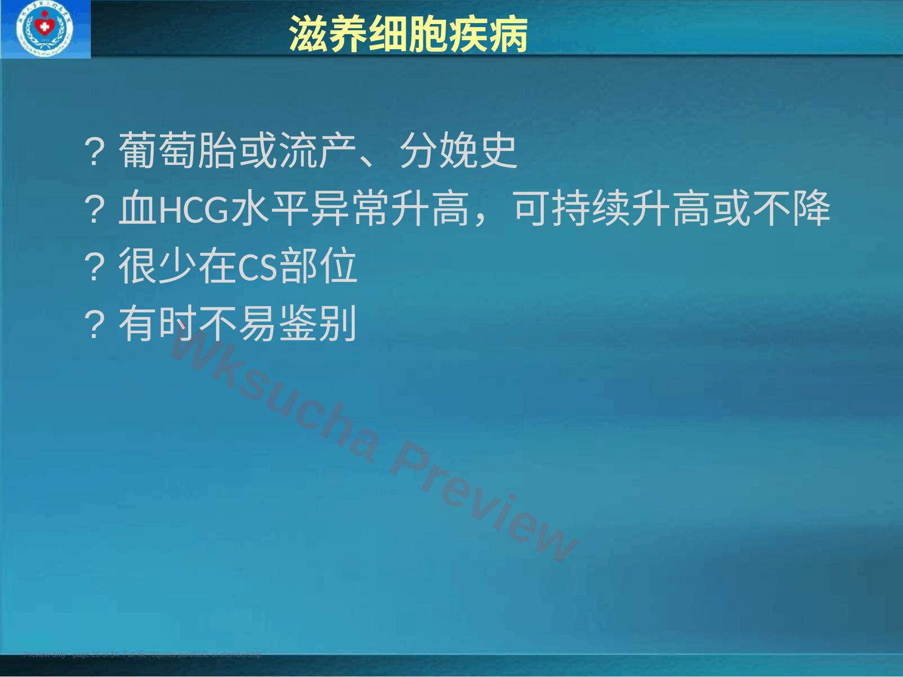预览第 26 页