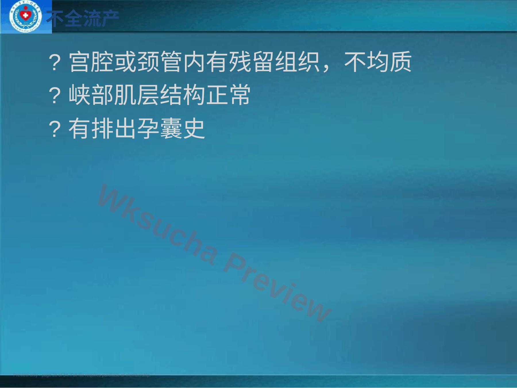 预览第 28 页