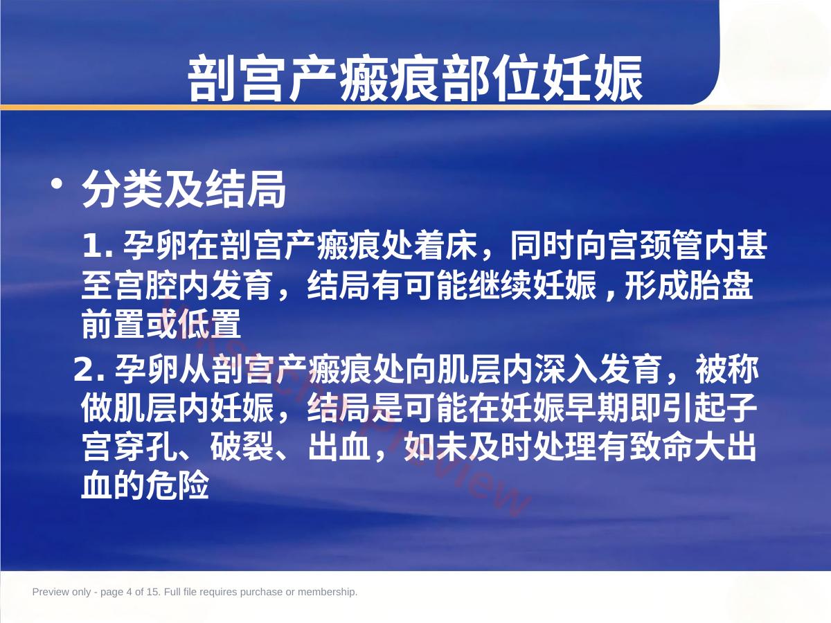 预览第 4 页
