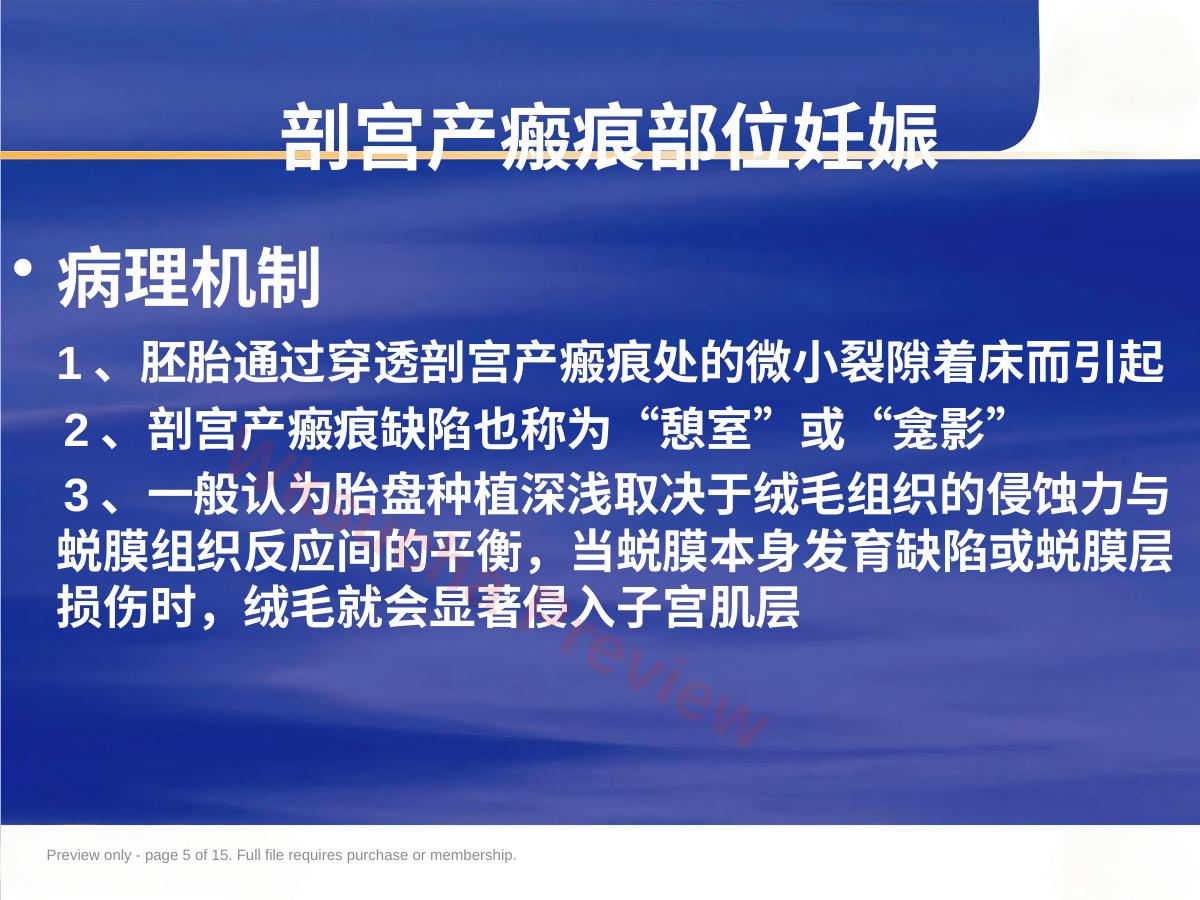 预览第 5 页