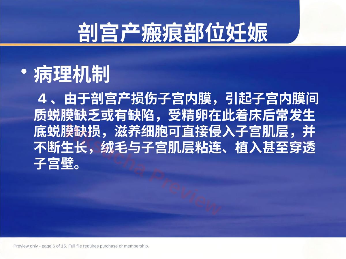 预览第 6 页