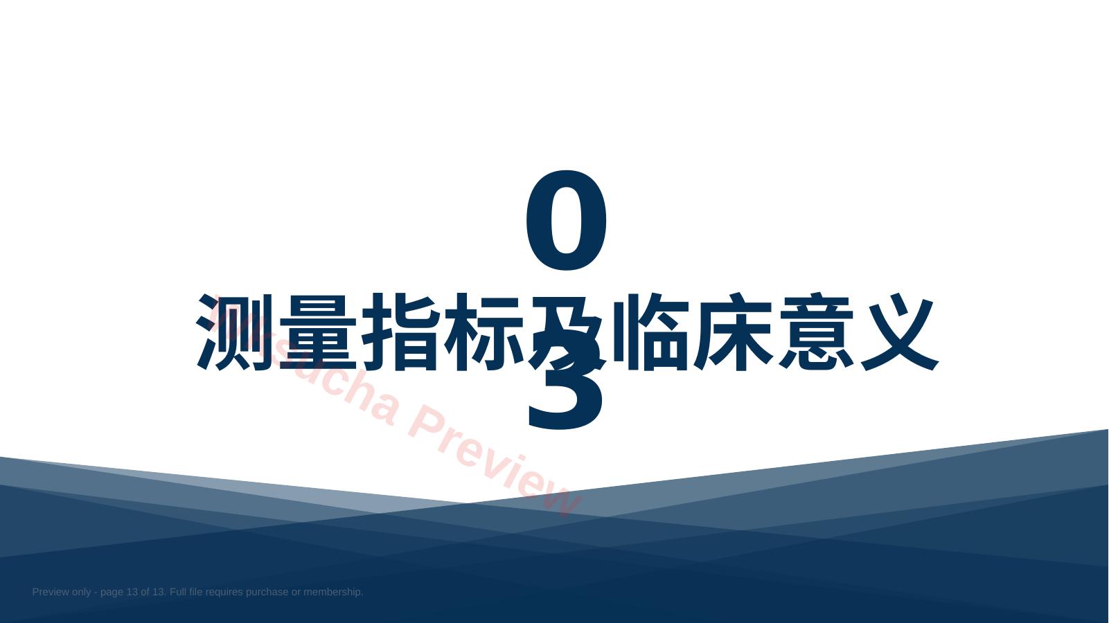 预览第 13 页