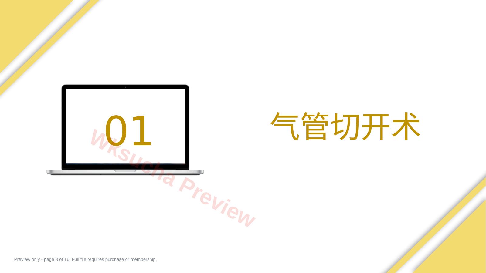 预览第 3 页