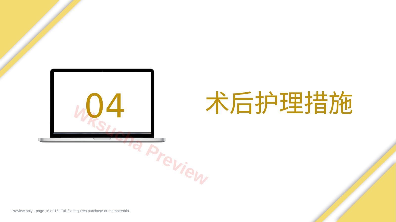 预览第 16 页