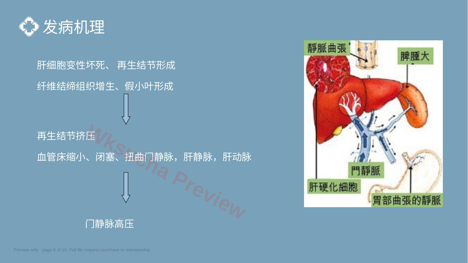 预览第 6 页