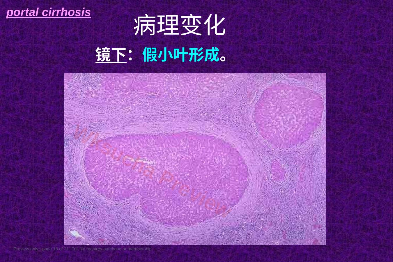 预览第 18 页