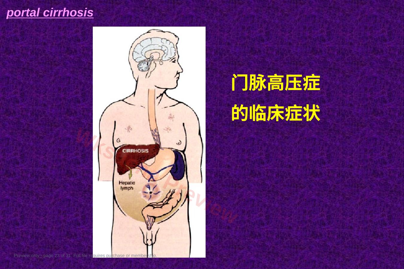 预览第 23 页