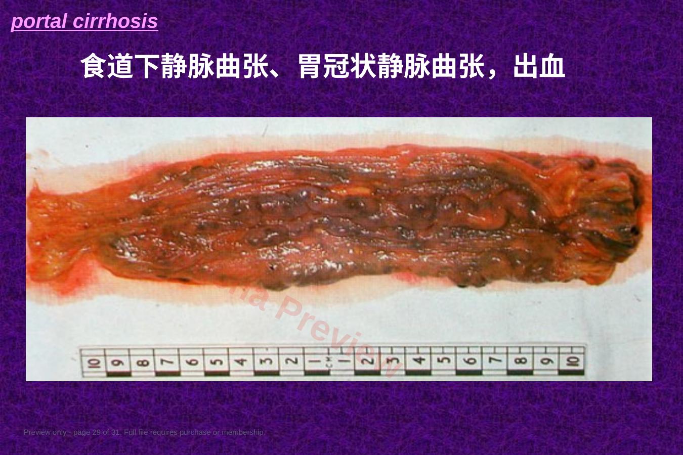 预览第 29 页