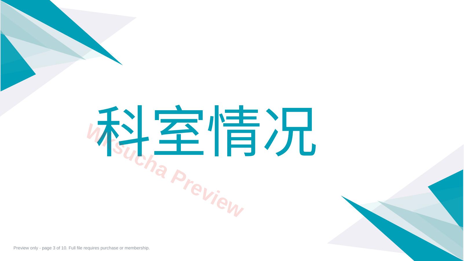 预览第 3 页
