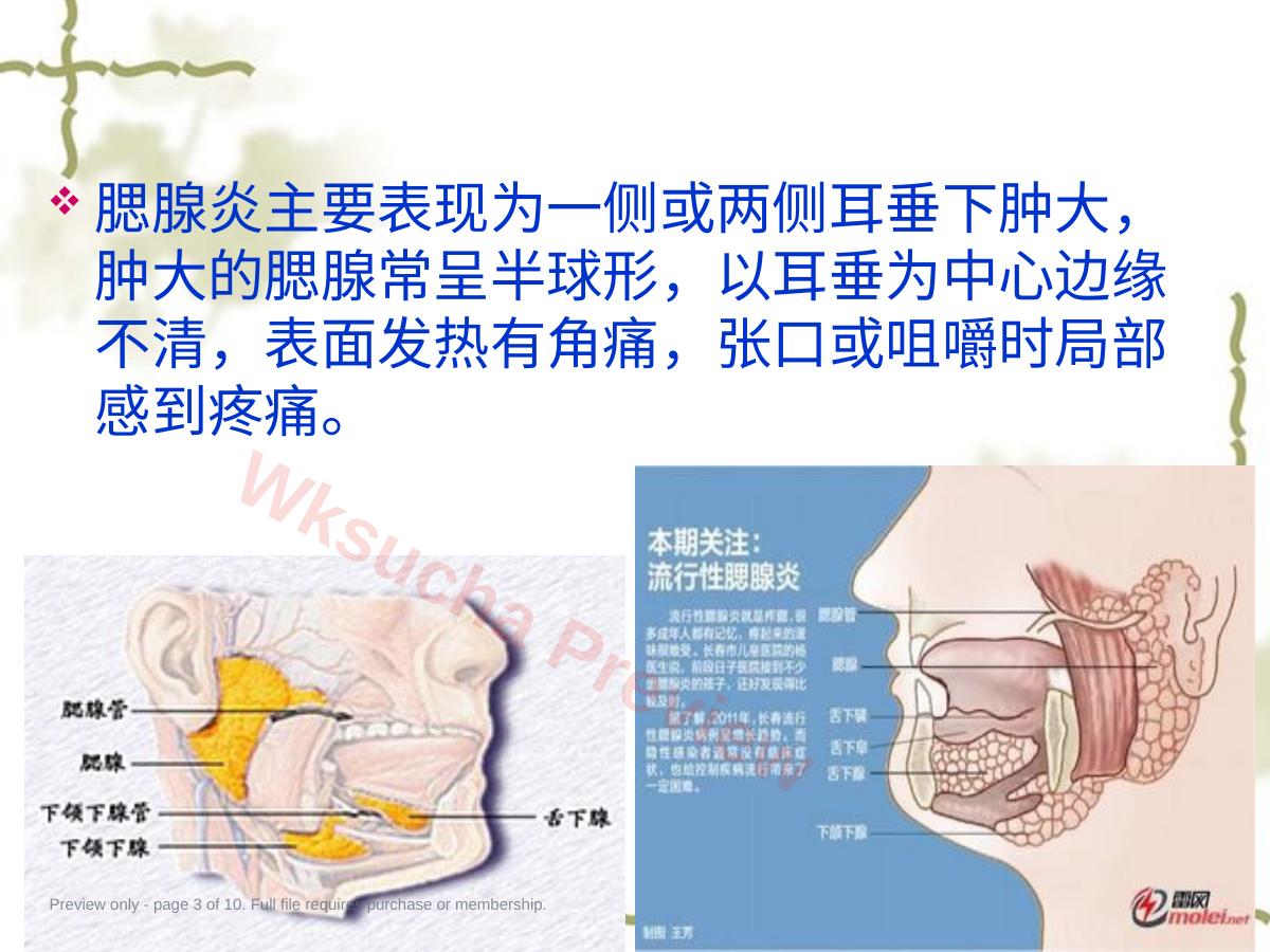 预览第 3 页