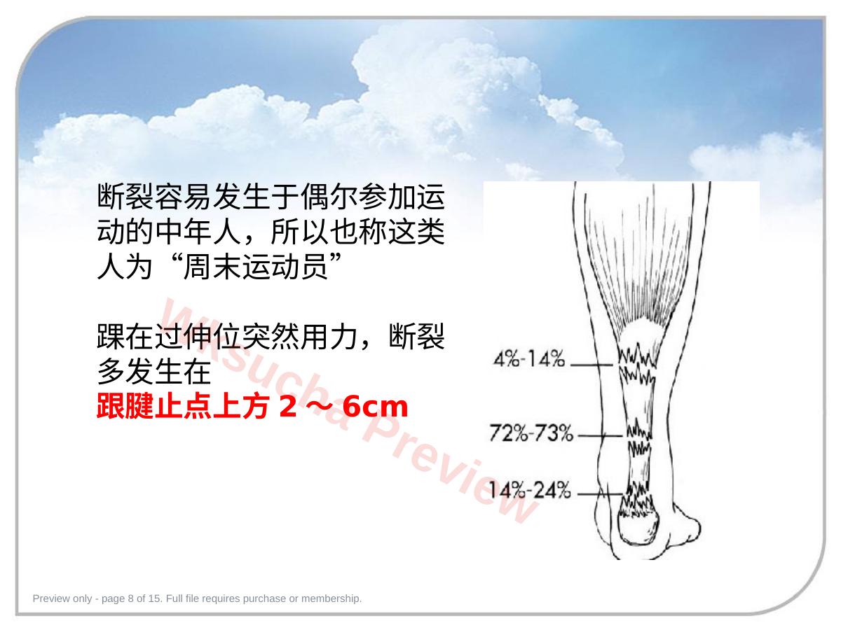预览第 8 页