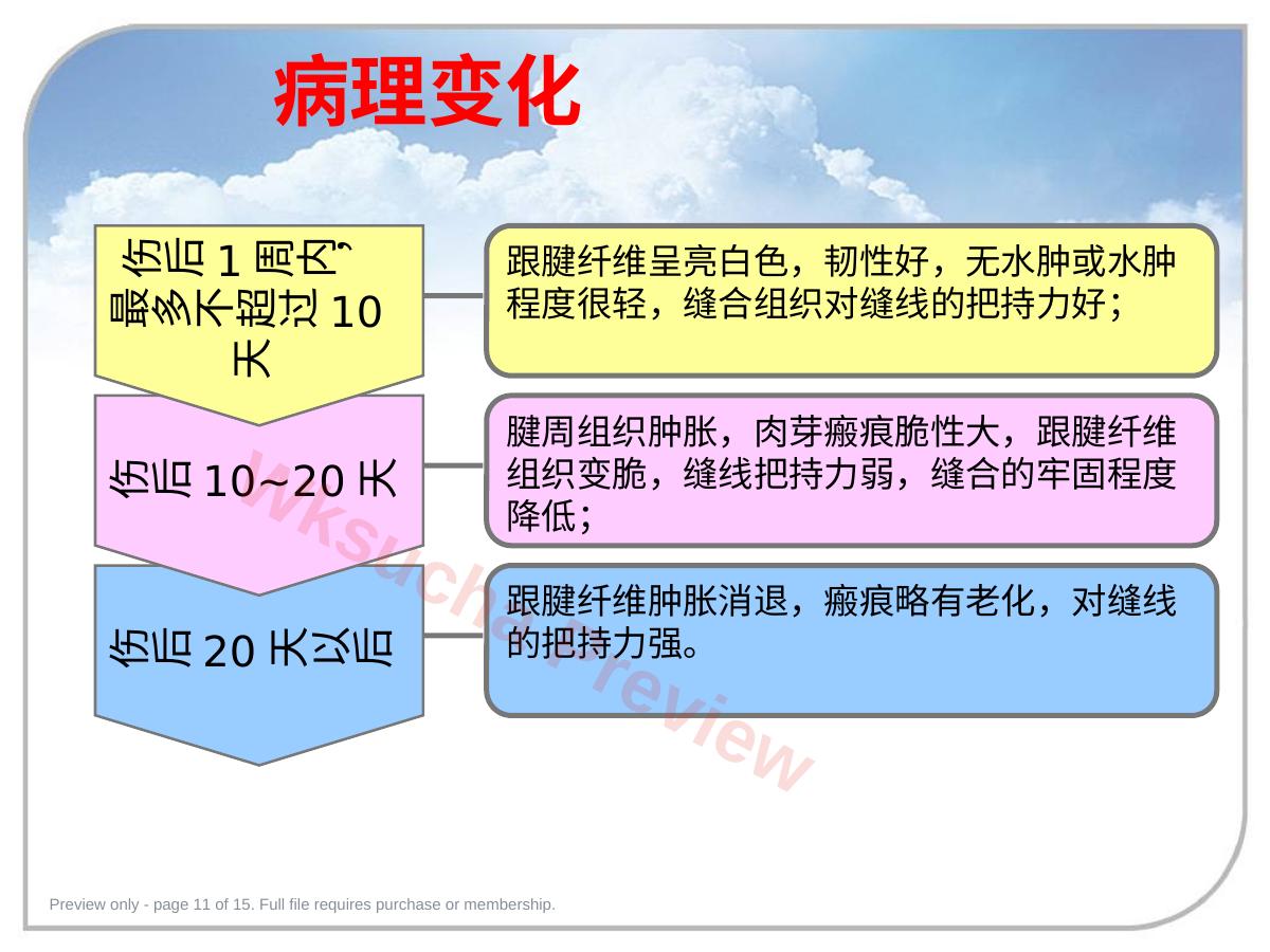 预览第 11 页