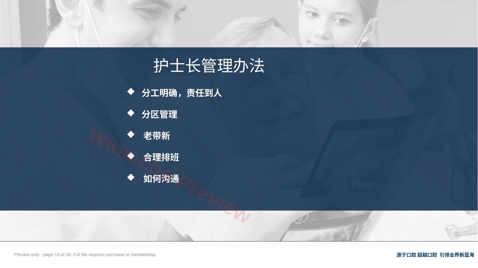 预览第 13 页