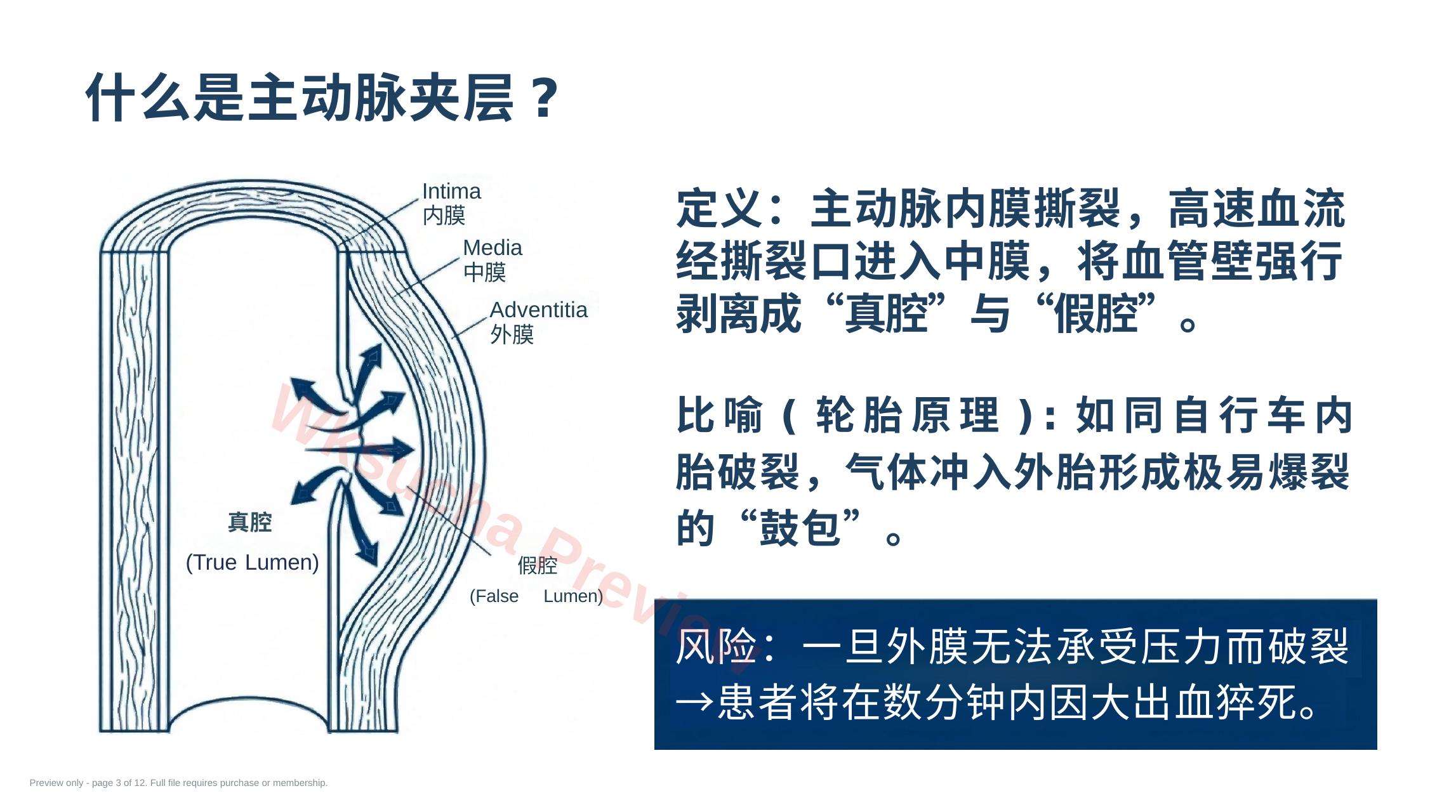 预览第 3 页