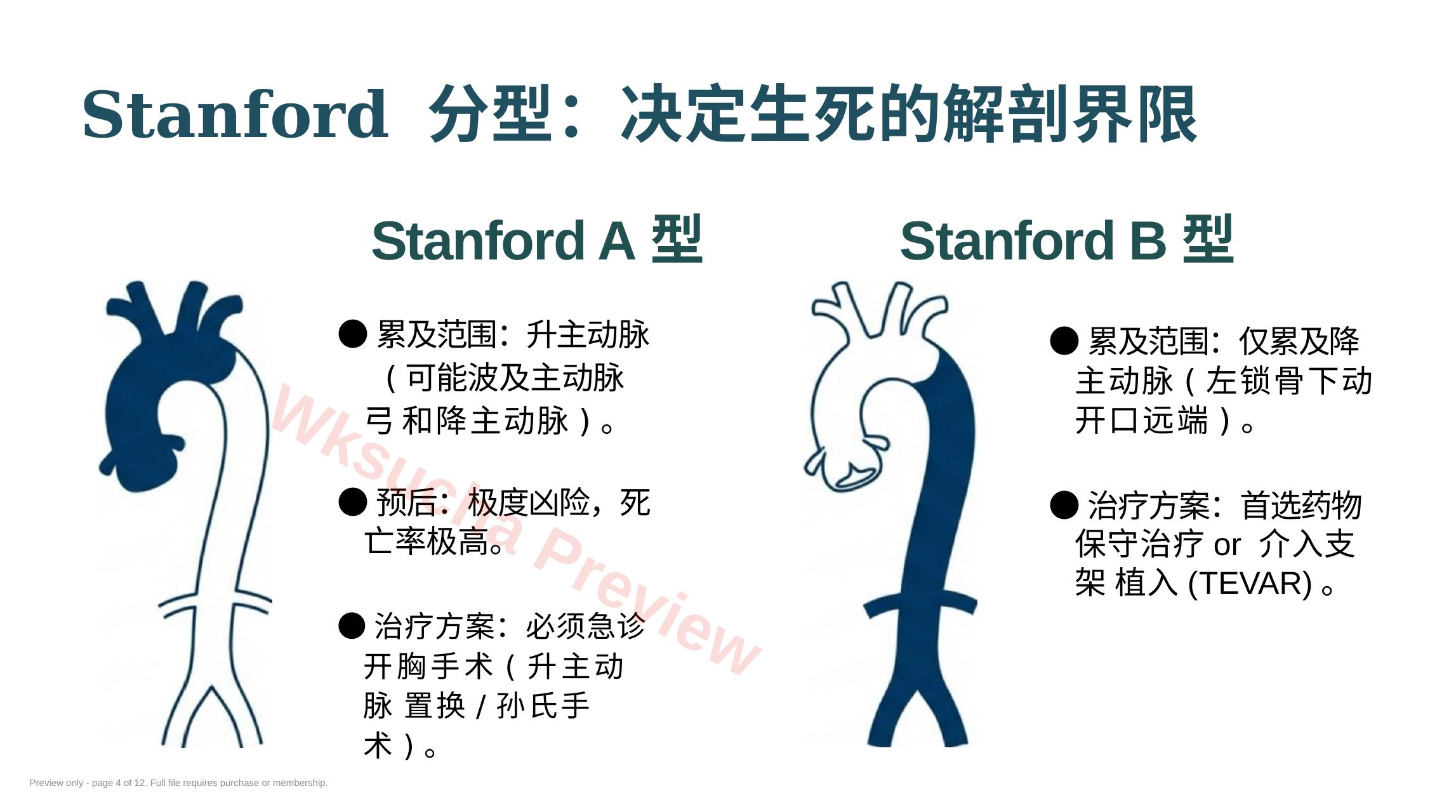 预览第 4 页