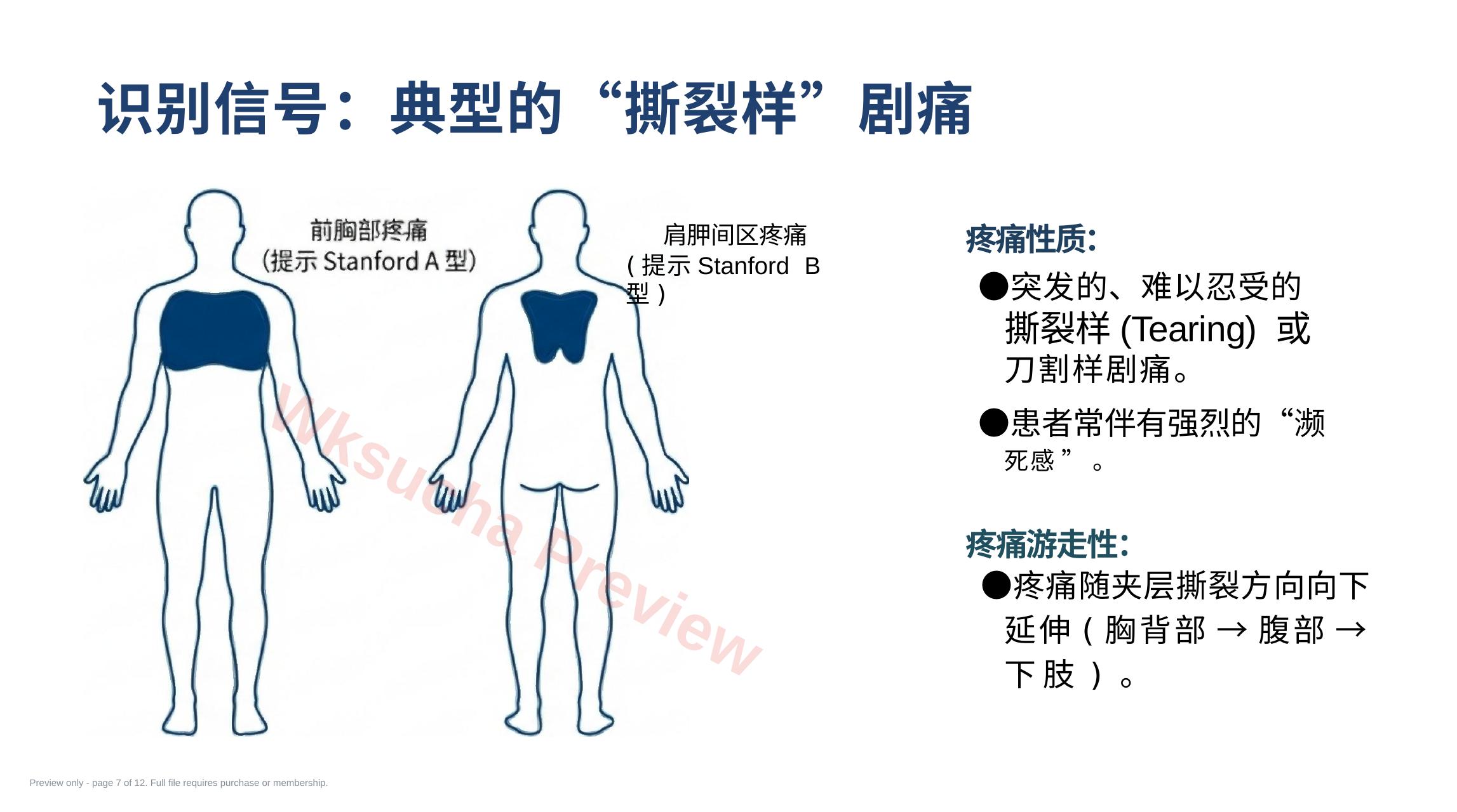 预览第 7 页